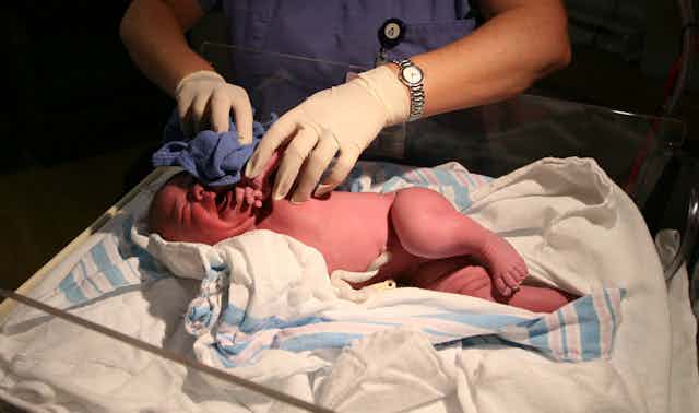 child vagina What is 'vaginal seeding' and will it help your C-section baby?