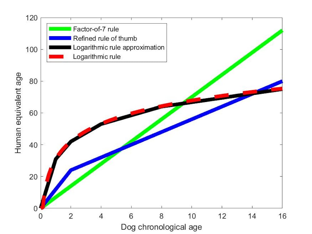 Calculate hamster age in human years (equivalence)