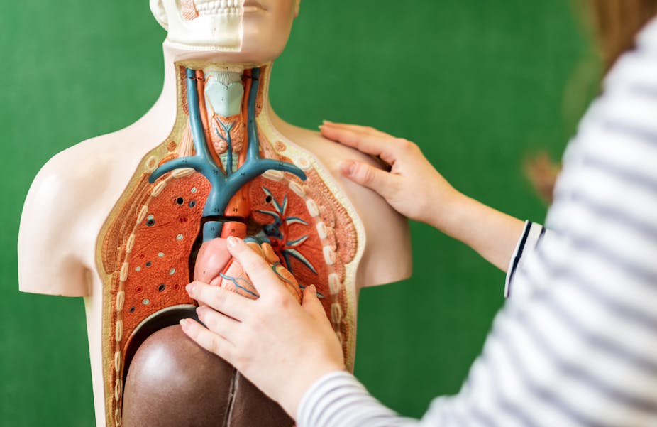A L Ere De La Medecine Biotech Le Corps Humain Est Il Une Marchandise Comme Les Autres A L Ere De La Medecine Biotech Le Corps Humain Est Il Une Marchandise Comme Les Autres