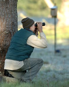 Margaret Morse Nice thought like a song sparrow and changed how scientists understand animal behavior