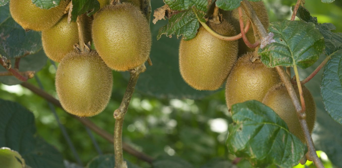 Climate explained: how climate change will affect food production and ... Biology Diagrams