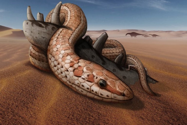 Chexiyalik eski swingerlar pornosini tomosha qiling Keti Topuriya yalangoch