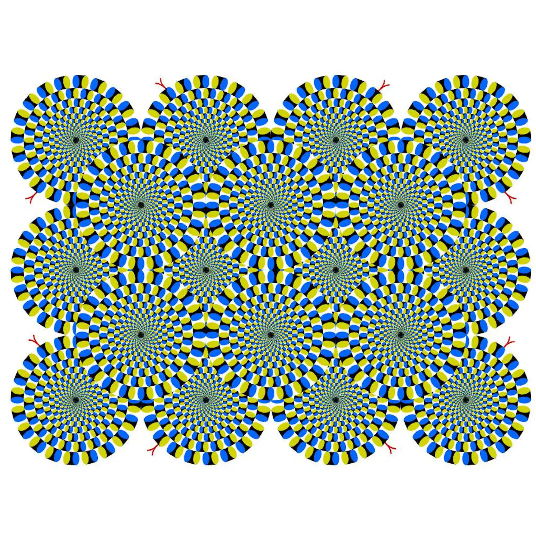 Ilusiones Visuales por Qu Nos Enga a Nuestro Cerebro Ilusiones Visuales por Qu Nos Enga a Nuestro Cerebro