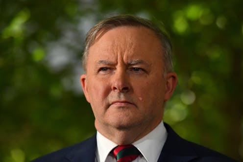 Albanese accuses Facebook of shrugging off fakery