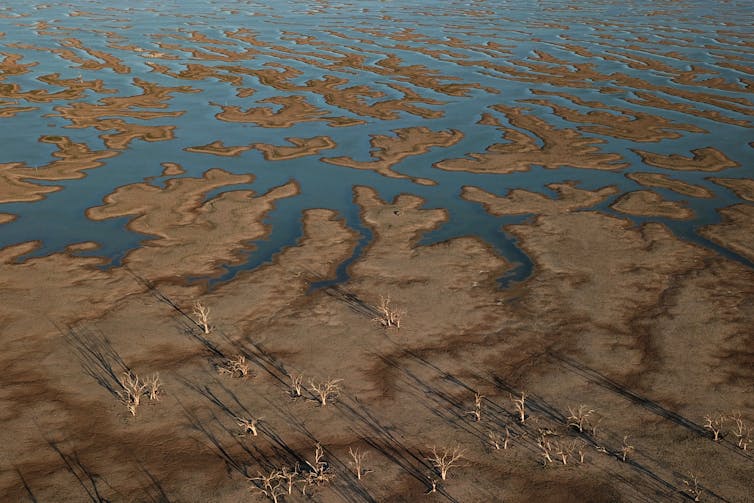 The water crisis has plunged the Nats into a world of pain. But they reap what they sow