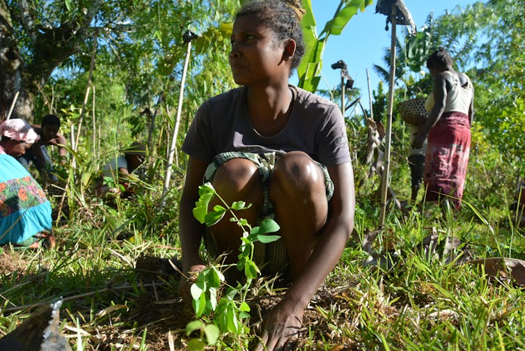 Lemurs are the world's most endangered mammals, but planting trees can help save them