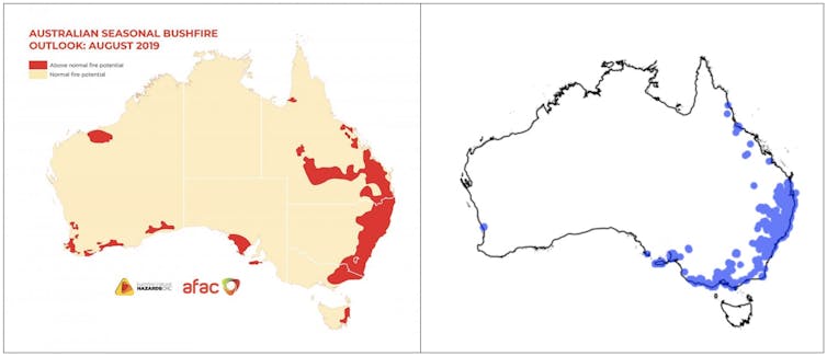 To save koalas from fire, we need to start putting their genetic material on ice