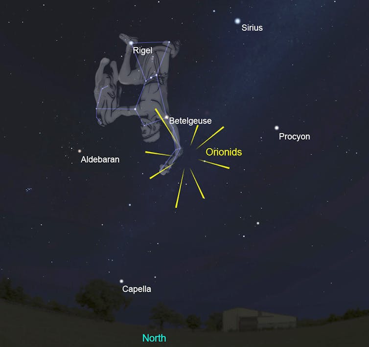Look up! Your guide to some of the best meteor showers for 2020