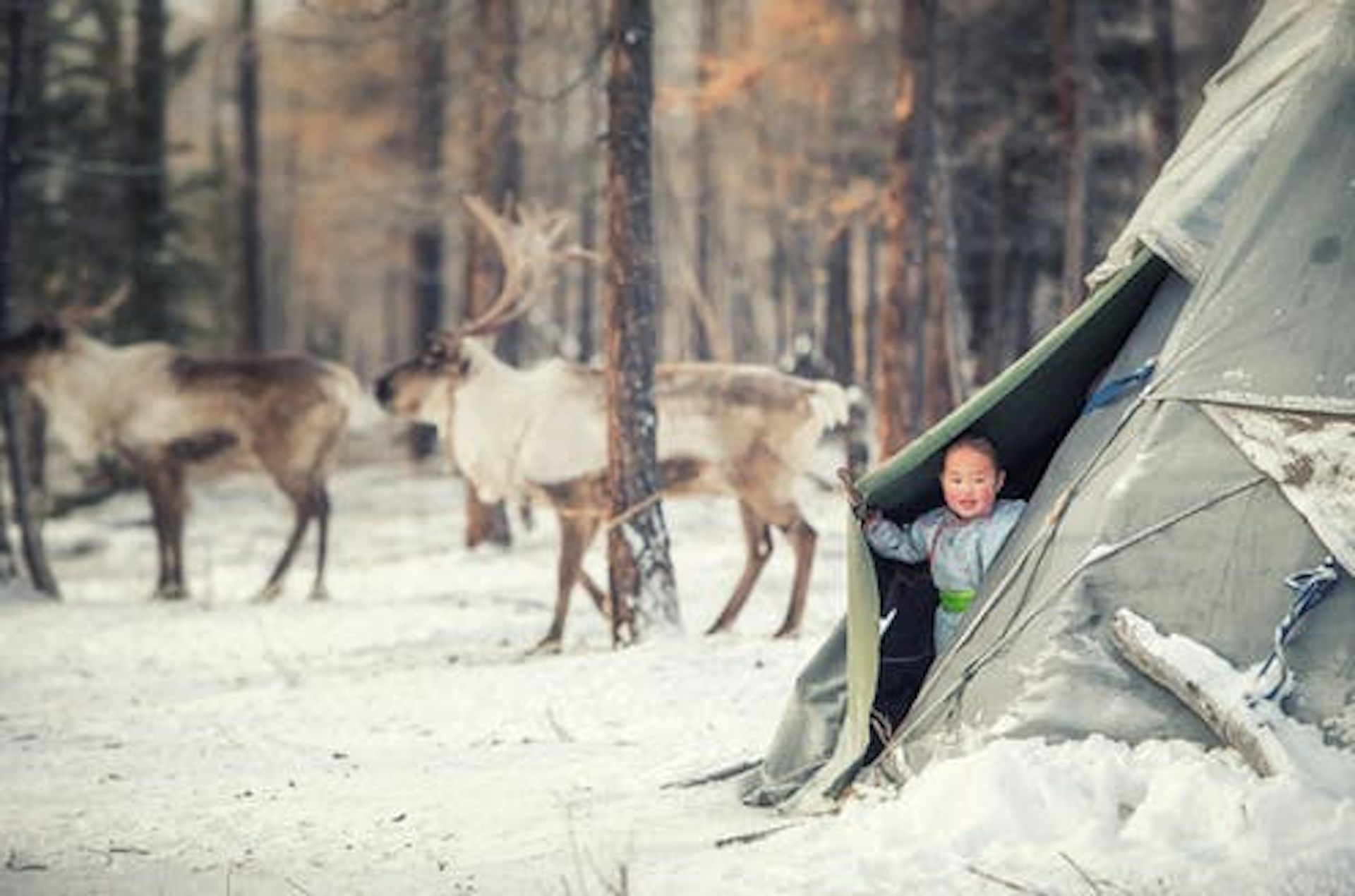 Perjuangan Krisis Iklim Dan Yang Bisa Kita Lakukan