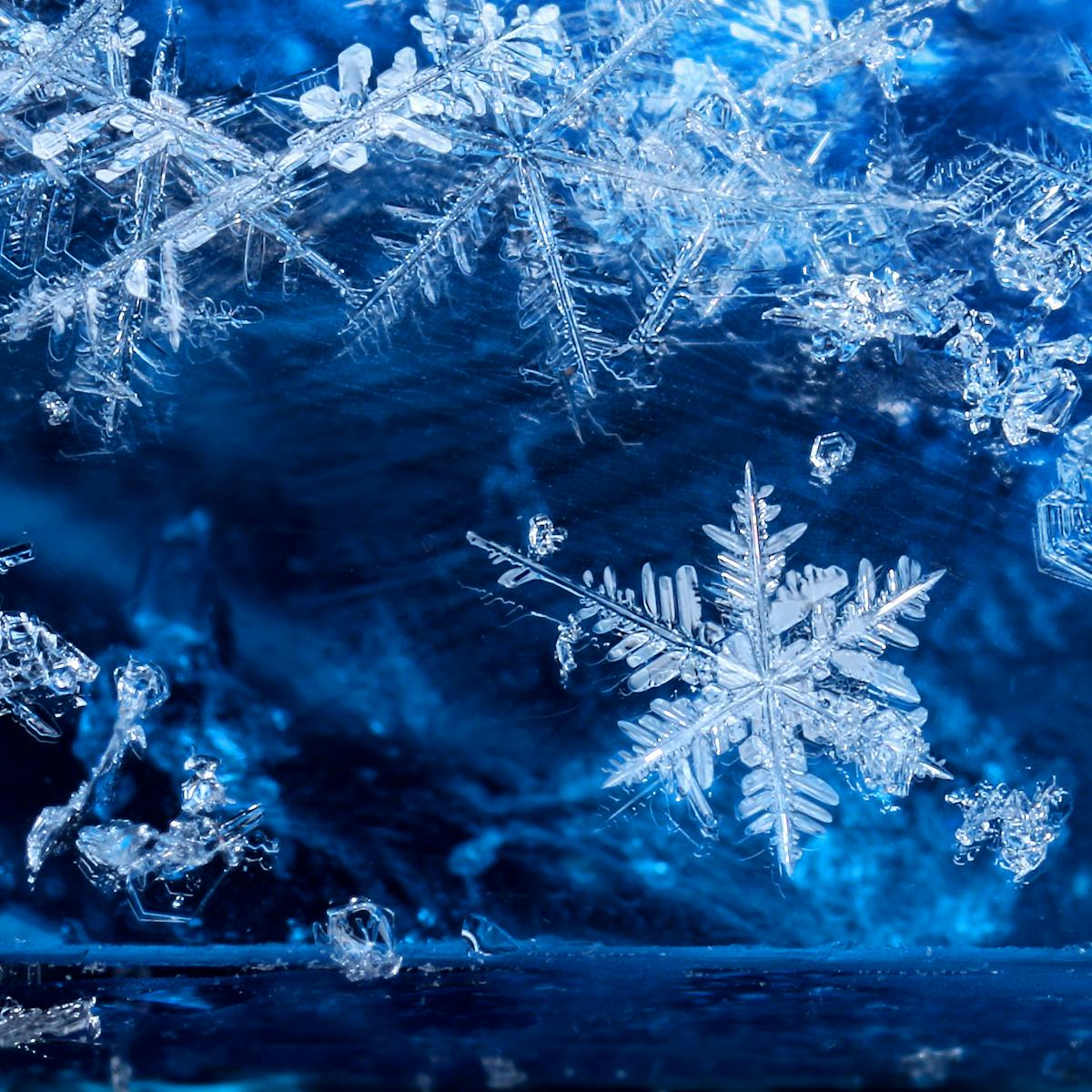 Winter is coming: 5 essential reads about snow and ice