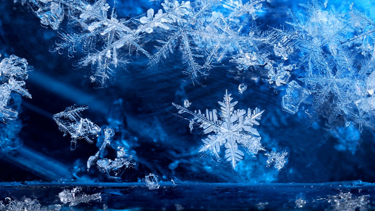 Winter is coming: 5 essential reads about snow and ice