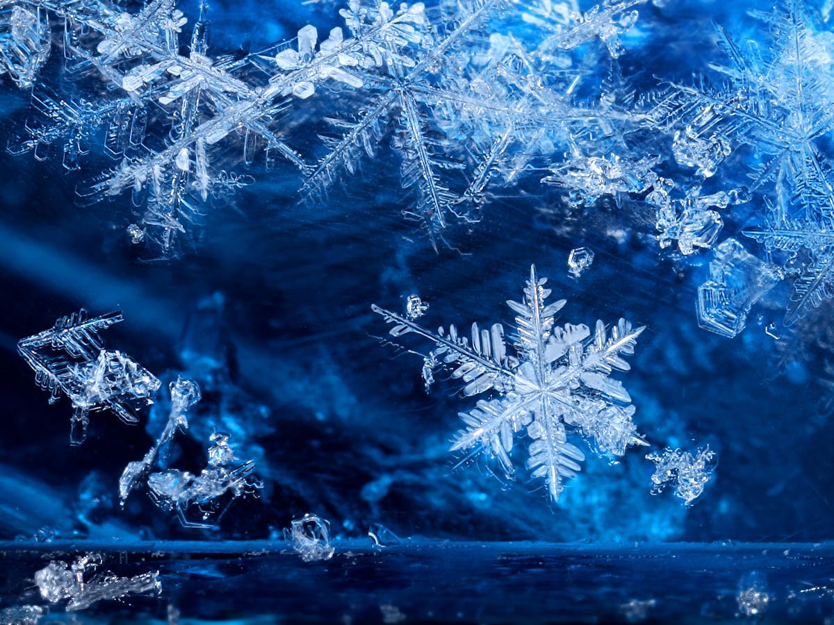 Winter is coming: 5 essential reads about snow and ice