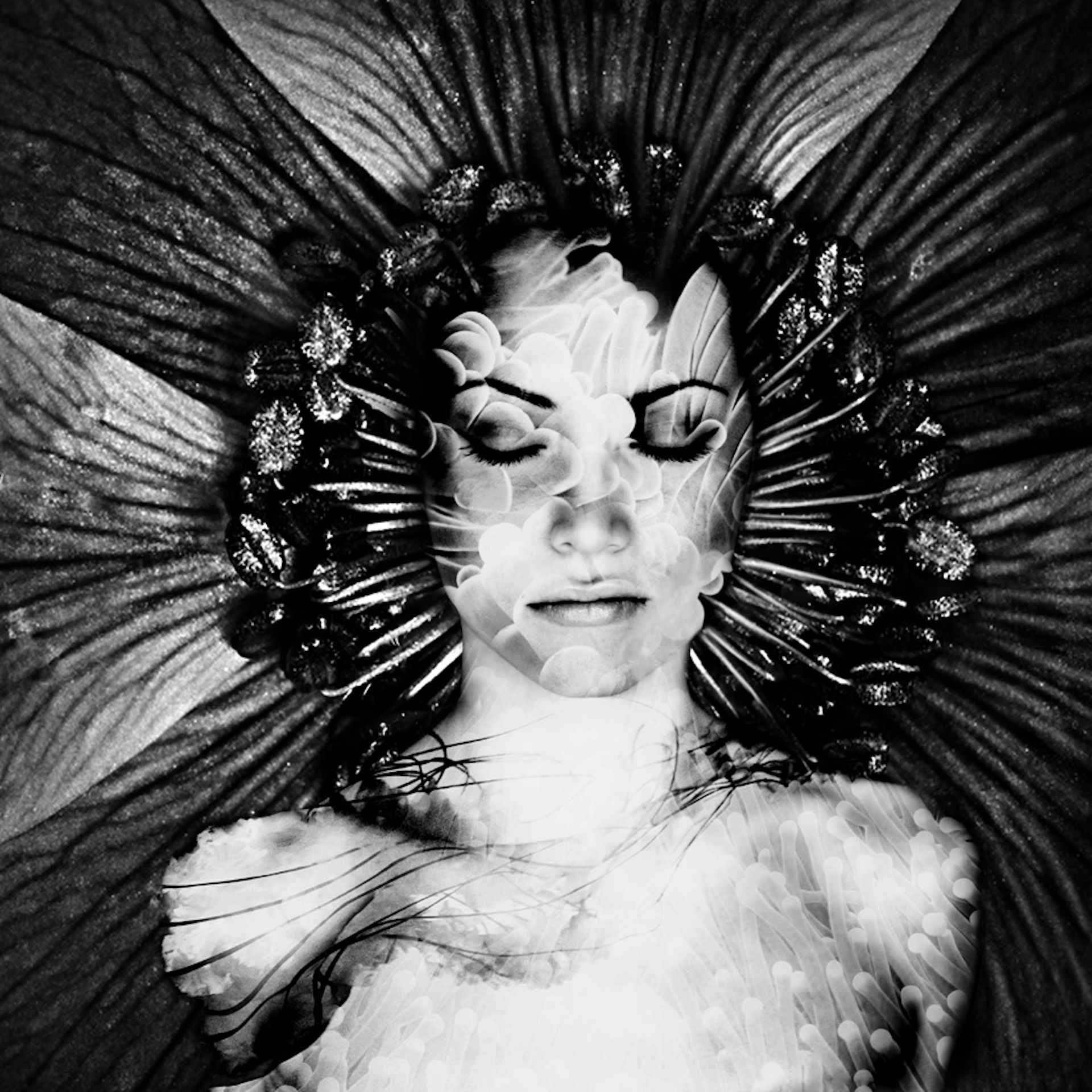 So seriously, why aren't there more women in science?