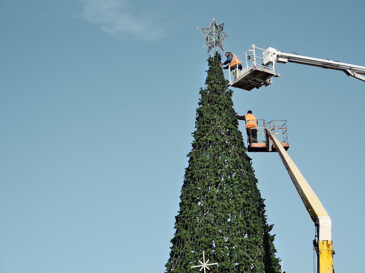 The Great Christmas Tree Debate Is It Better To Buy A Real Tree Or A Fake One How Early Can You Get A Real Christmas Tree