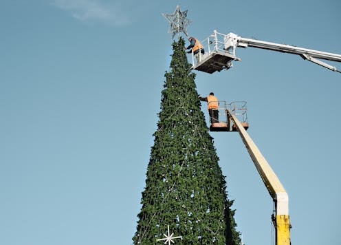 The Great Christmas Tree Debate Is It Better To Buy A Real Tree Or A Fake One Large Christmas Trees Near Me