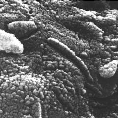 mars research paper topics