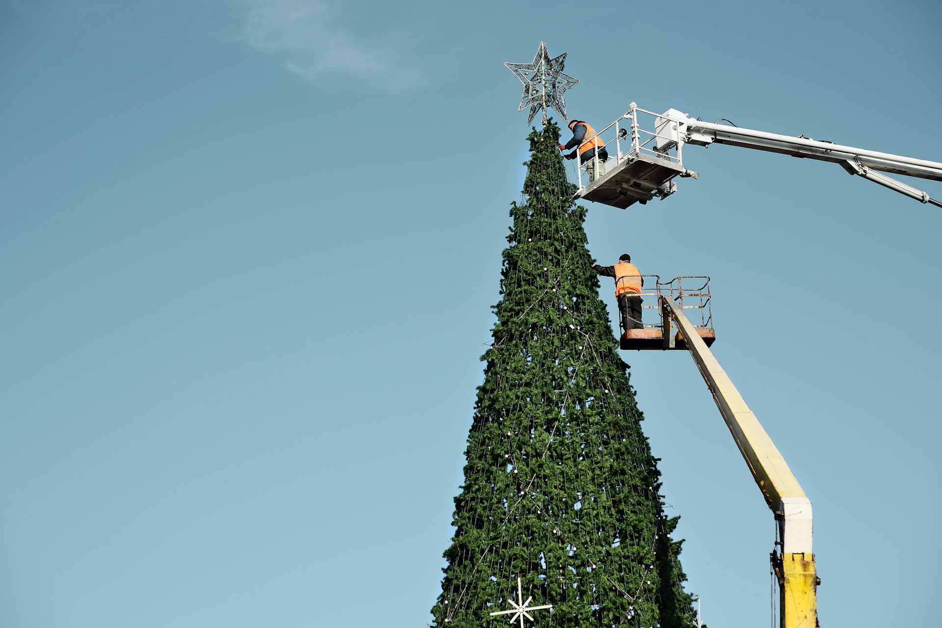 L'éternel débat : Sapin de Noël, Boules ou Guirlande : Qui Prime en 2024 ?