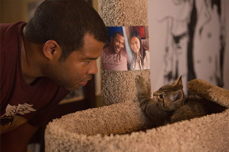 The 5 best films for cat lovers (that aren't the movie Cats)