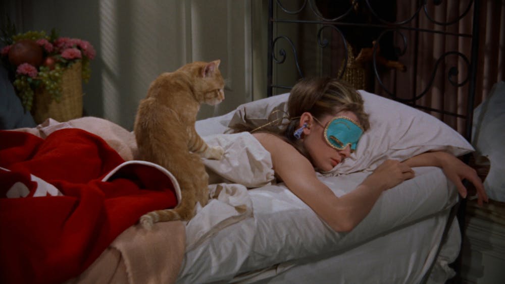 The 5 Best Films For Cat Lovers That Aren T The Movie Cats