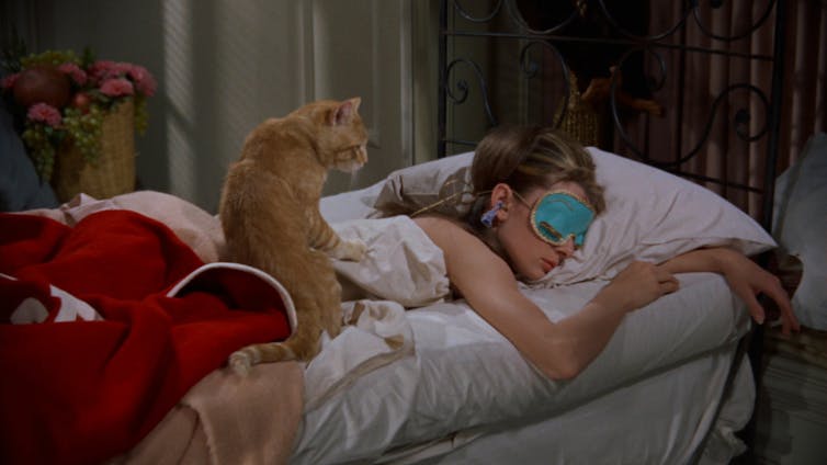 The 5 best films for cat lovers (that aren't the movie Cats)