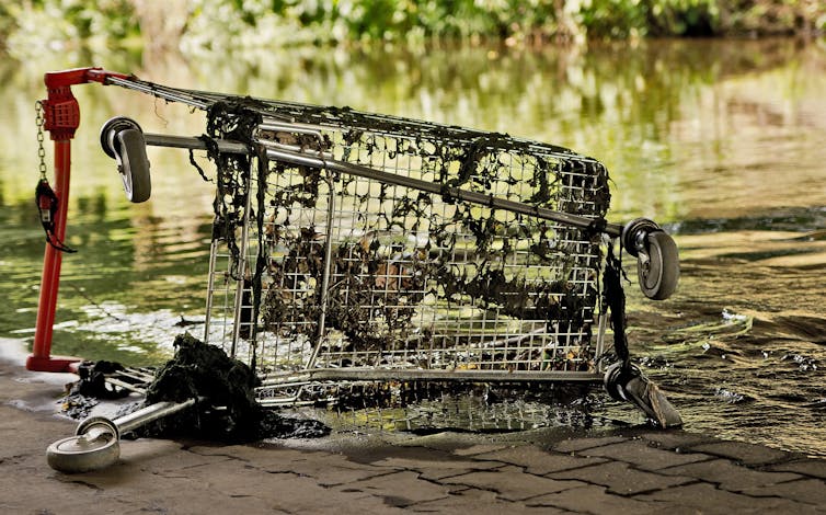 The war on abandoned trolleys can be won. Here's how