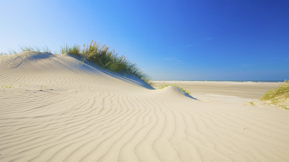 Where Does Beach Sand Come From