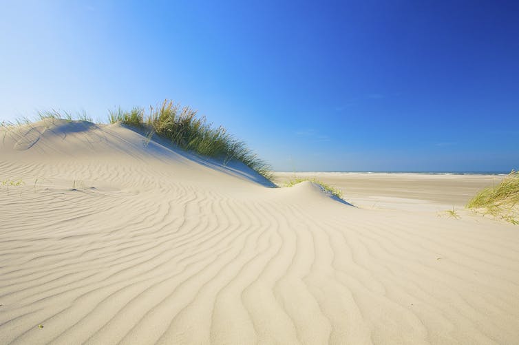 Where does beach sand come from?