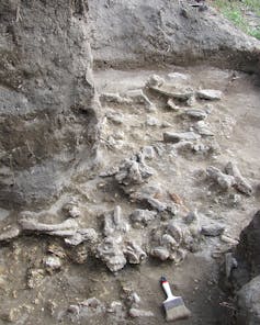 When did _Homo erectus_ die out? A fresh look at the demise of an ancient human species over 100,000 years ago