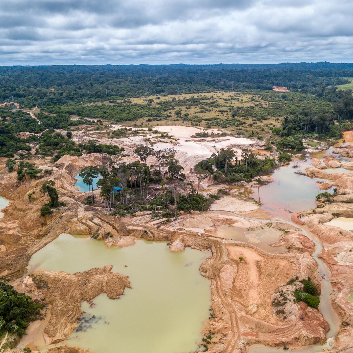 Statistic Of The Decade The Massive Deforestation Of The Amazon Statistic Of The Decade The Massive Deforestation Of The Amazon