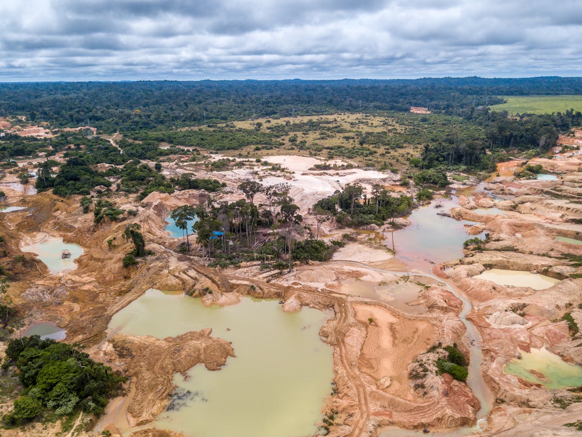 Statistic Of The Decade The Massive Deforestation Of The Amazon Statistic Of The Decade The Massive Deforestation Of The Amazon