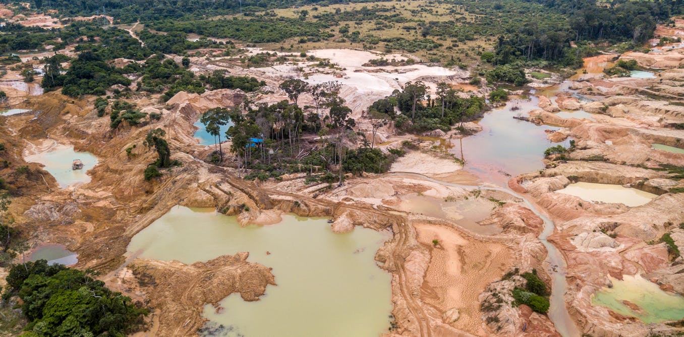 Statistic of the decade: The massive deforestation of the Amazon