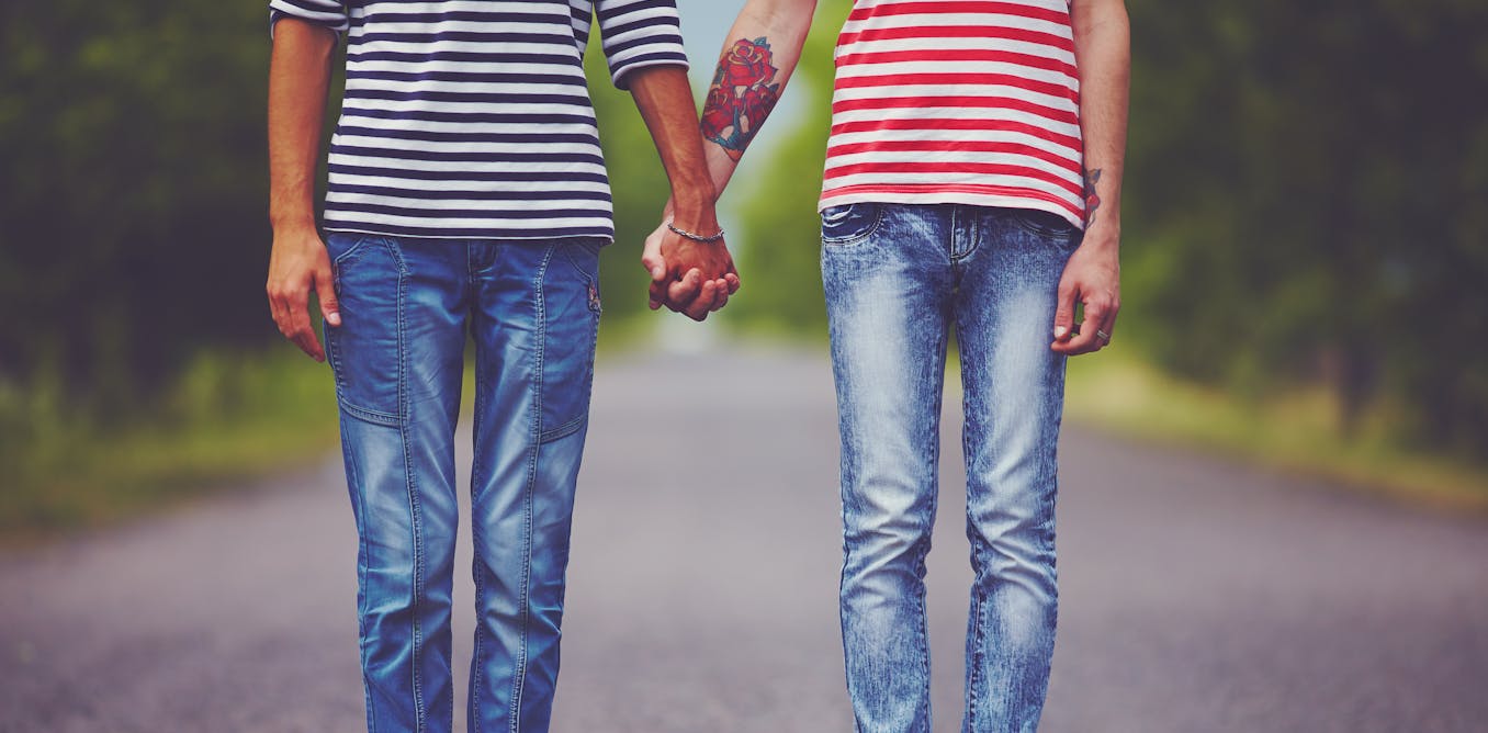 Homosexuality may have evolved for social, not sexual reasons
