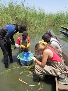 Identifying aquatic plants with drones could be the key to reducing a parasitic infection in people