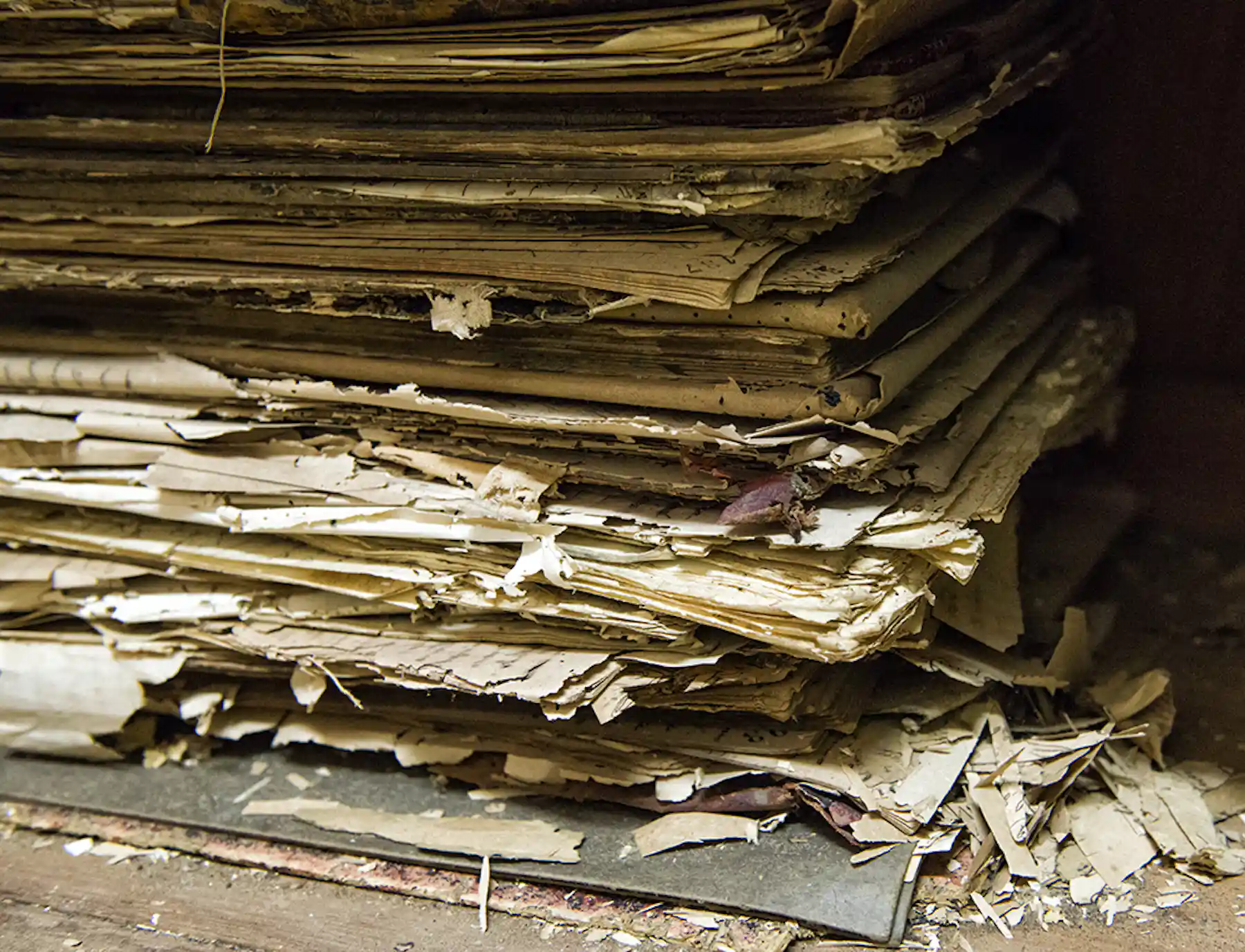 Building a digital archive for decaying paper documents, preserving ...