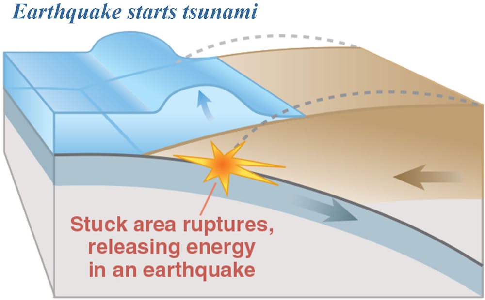 tsunami diagram with labels