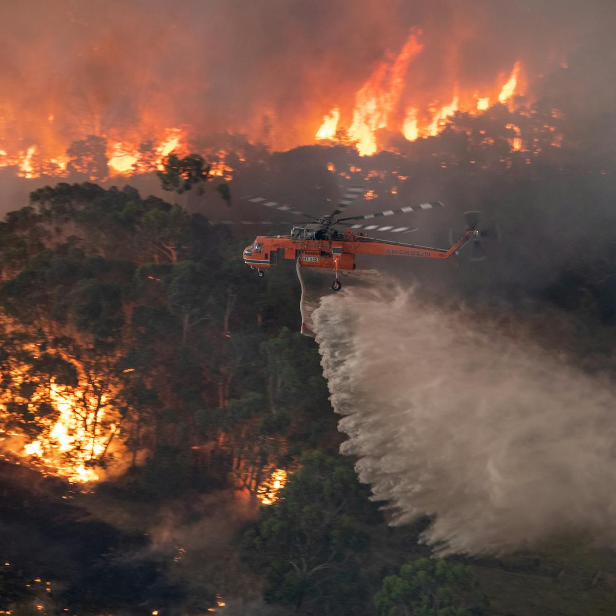 How To Monitor The Bushfires Raging Across Australia