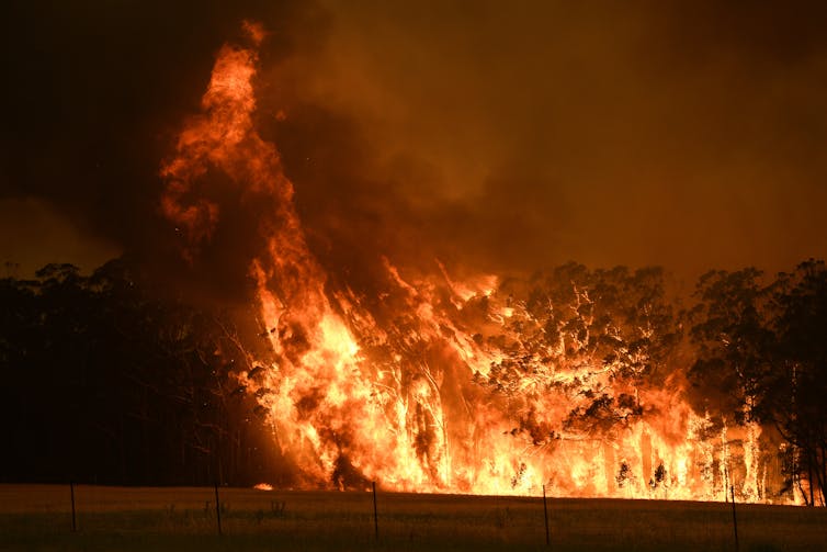 There's only one way to make bushfires less powerful: take out the stuff that burns