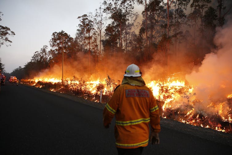 There's no evidence 'greenies' block bushfire hazard reduction but here's a controlled burn idea worth trying