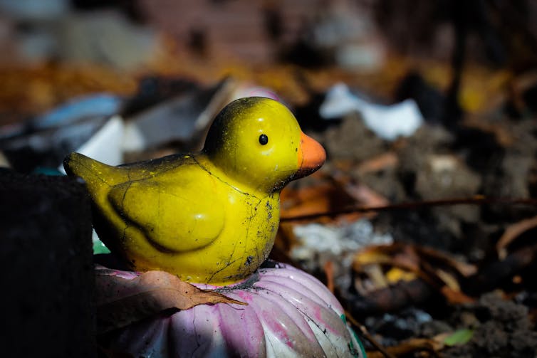 How to care for and recover personal items after bushfire