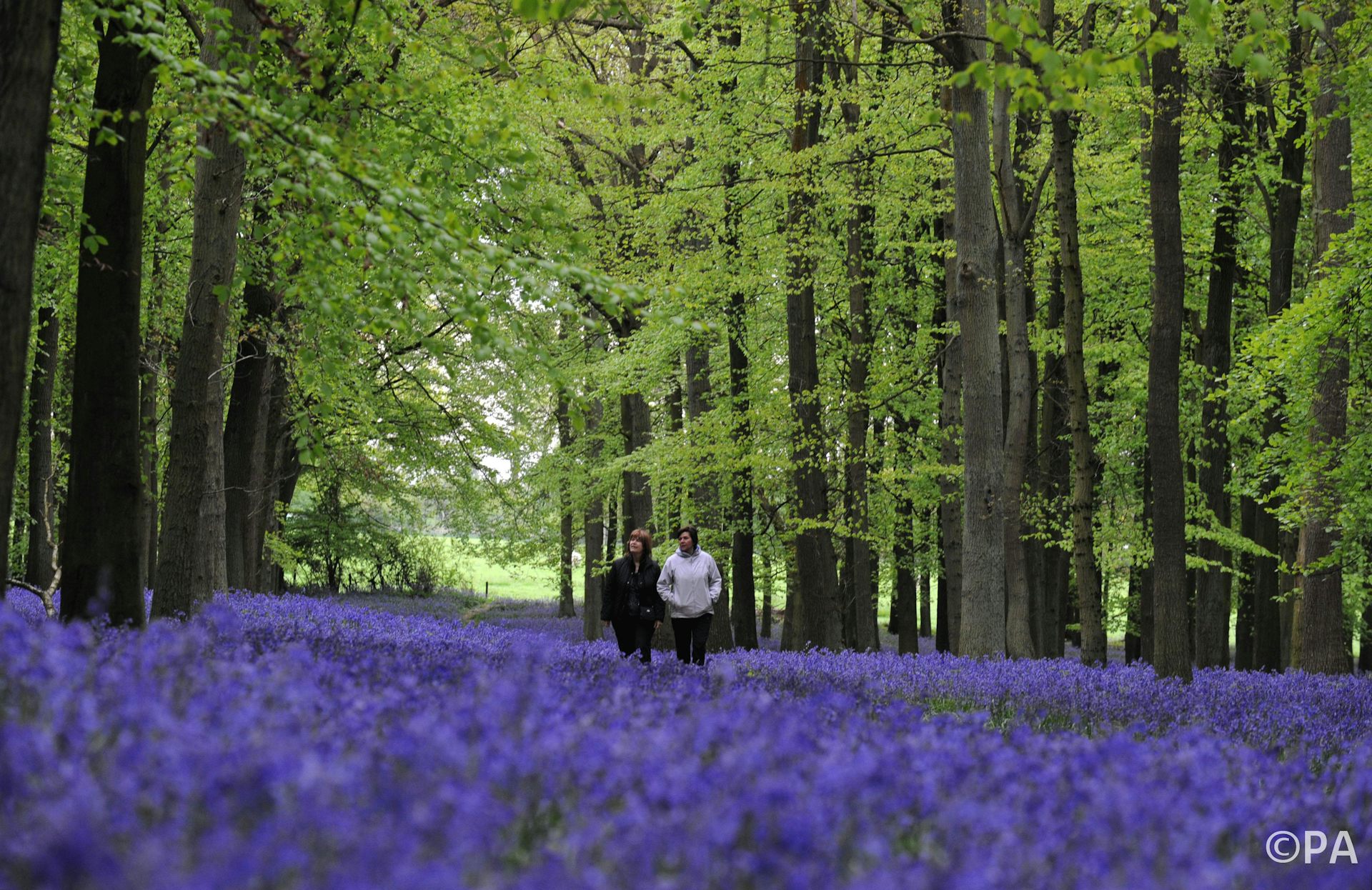 Greenbelt myth is the driving force behind housing crisis