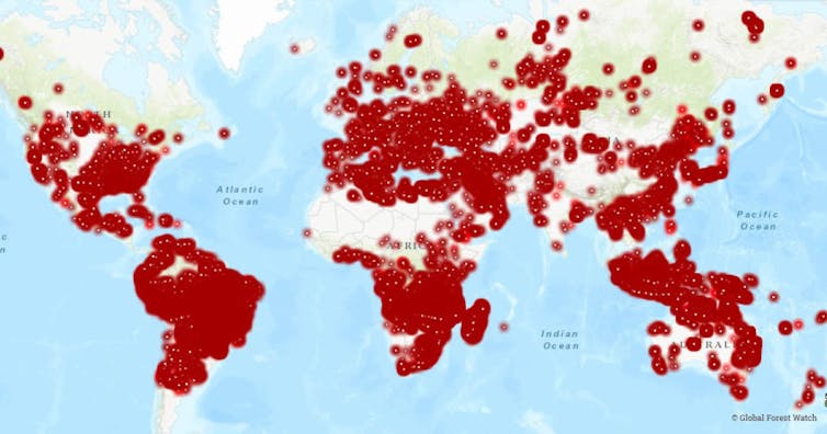 6 things to ask yourself before you share a bushfire map on social media