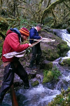 Collecting aquatic insects in Oregon.