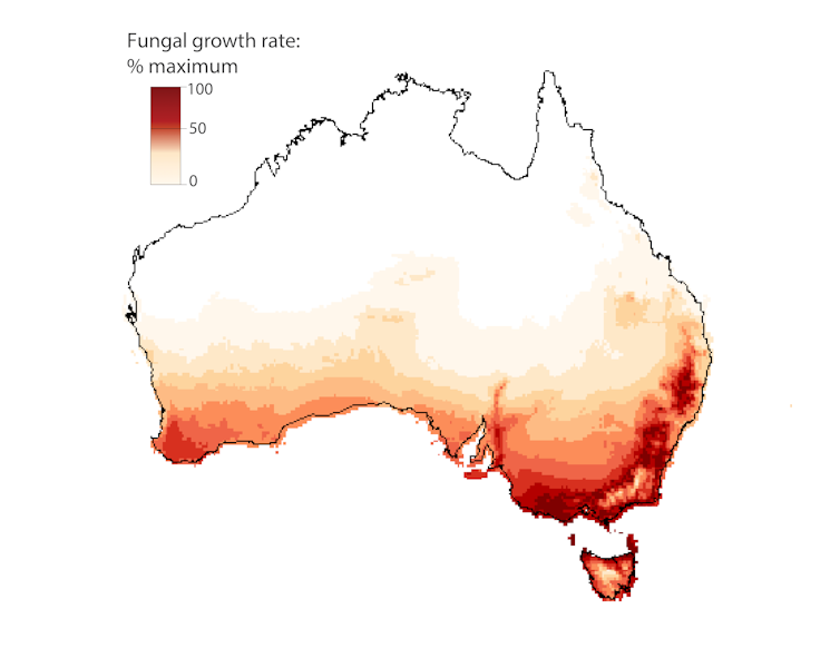 Australia's threatened bats need protection from a silent killer: white-nose syndrome