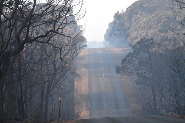 Bushfires won't change climate policy overnight. But Morrison can shift the Coalition without losing face