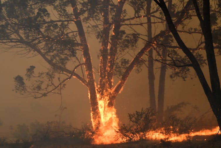 how Aboriginal people experience the bushfire crisis