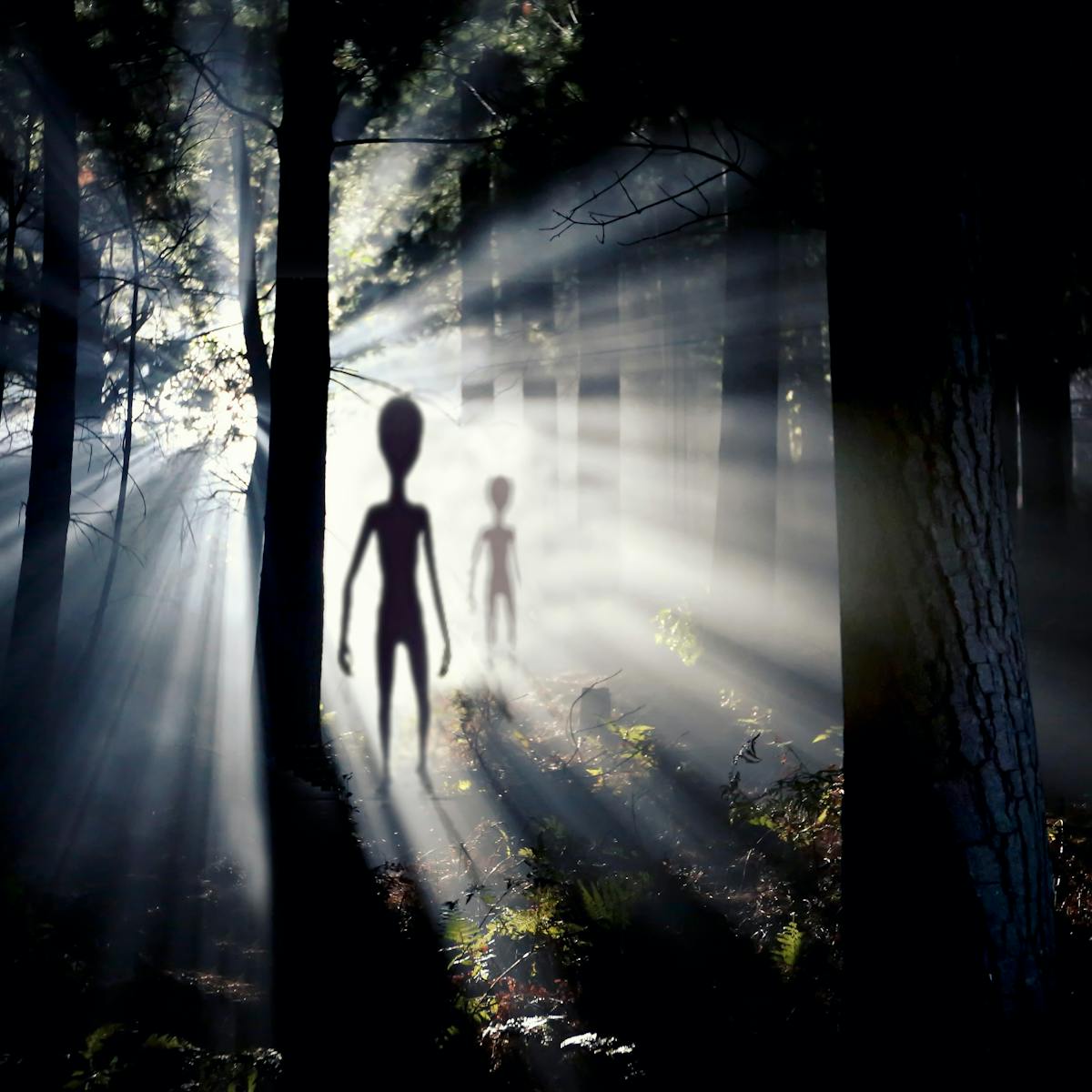 Could Invisible Aliens Really Exist Among Us An Astrobiologist Explains