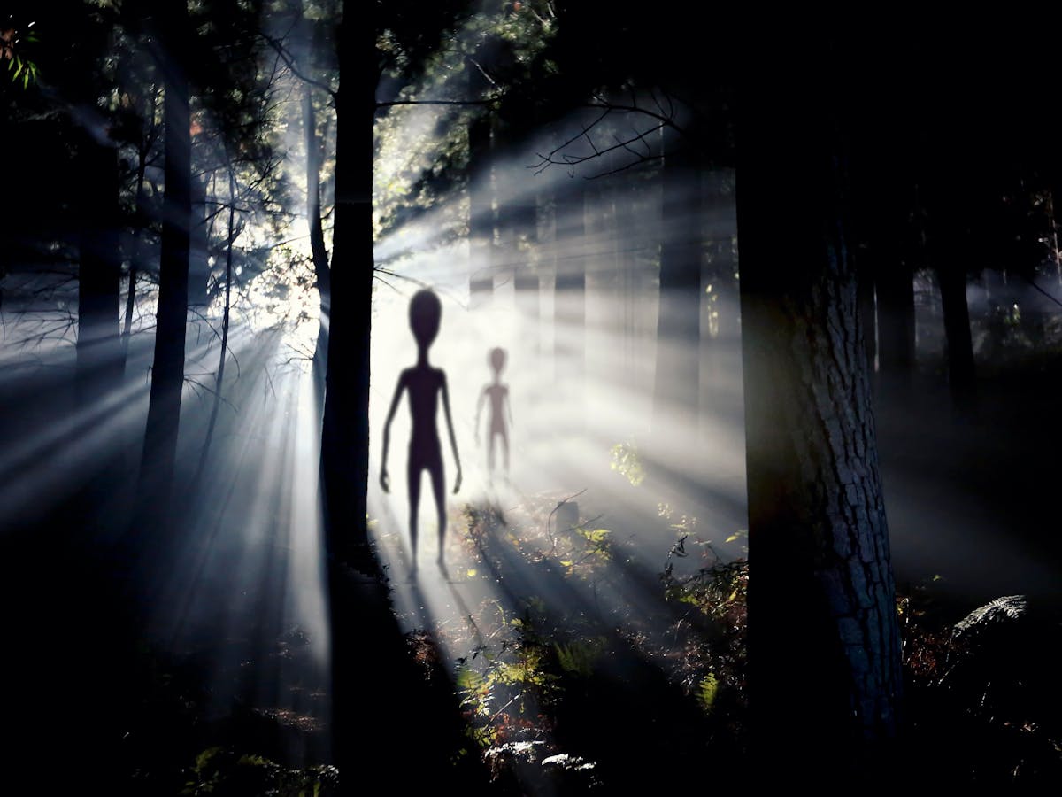 Could Invisible Aliens Really Exist Among Us An Astrobiologist Explains