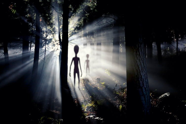 ALIENS ON EARTH? They probably won’t look anything like this. Martina Badini/Shutterstock 
