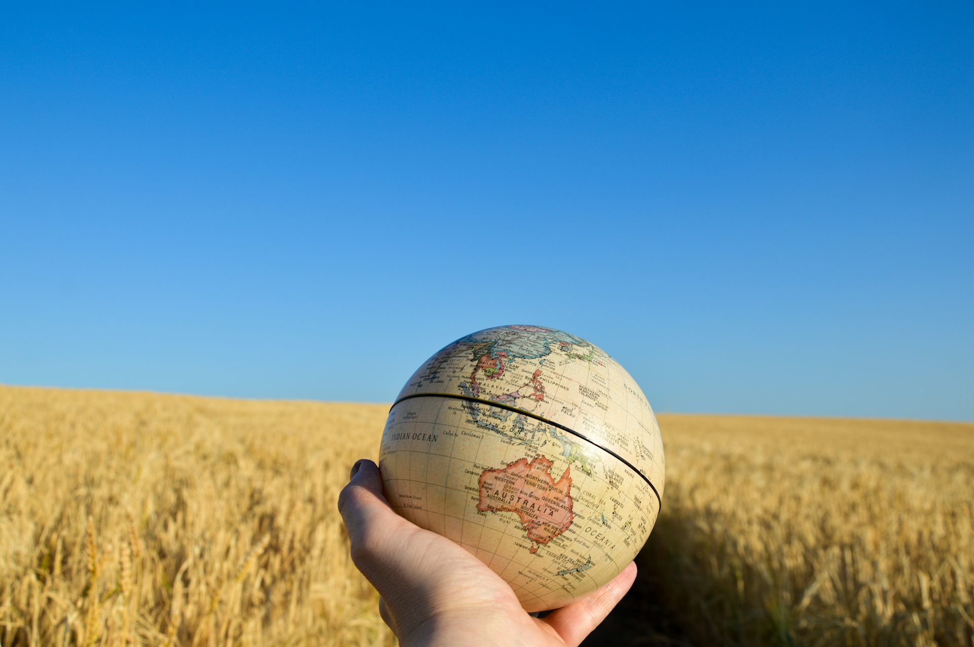 Food That Feeds The World And Heals It Too Imagine Newsletter 6