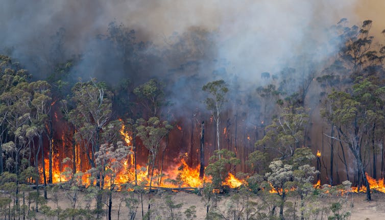 You're not the only one feeling helpless. Eco-anxiety can reach far beyond bushfire communities